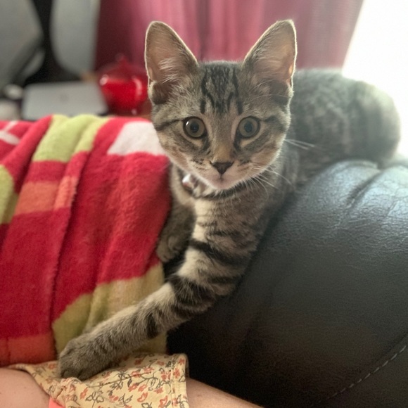 Meet your Posher, Hunny - Picture 11 of 11